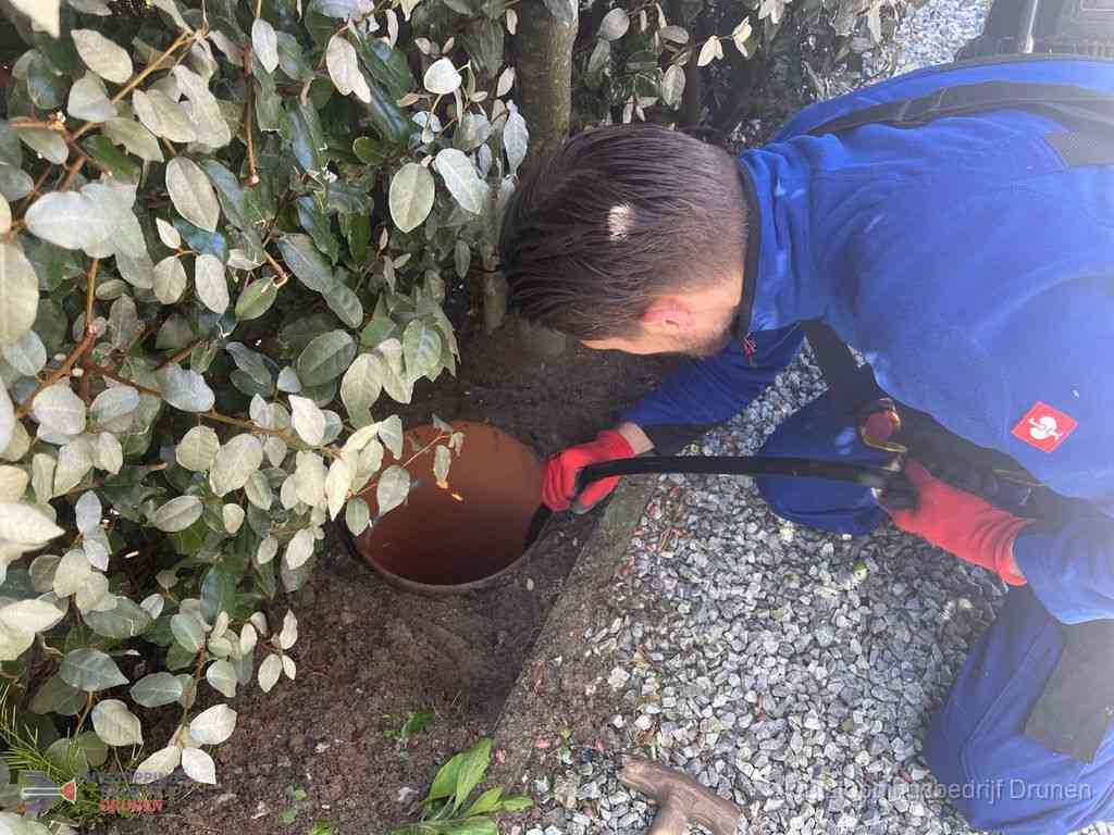 Rioolvliegjes Drunen Rioolvliegjes Drunen